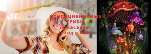 героин Пересвет