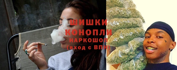 дживик Переславль-Залесский